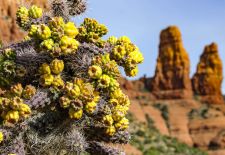 Chapel Trail, Sedona