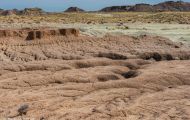 Arizona, Northcentral-Eastern - Petrified Forest National Park 01.JPG