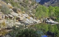 Arizona, Southeast - Tucson   Sabino Canyon 01.JPG