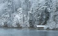 Bayern, Schwaben - Schwangau  Alpsee 07.JPG