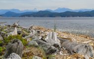 British Columbia, Vancouver Island - Campbell River  Quadra Island 03.JPG
