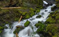 British Columbia, Vancouver Island - Campbell River  Strathcona Provicial Park 03.JPG