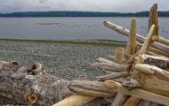 British Columbia, Vancouver Island - Campbell River  Tyee Point 01.JPG