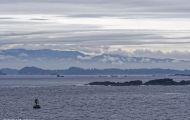 British Columbia, Vancouver Island - Ucluelet  Wild Pacific Trail 08.JPG