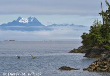 Faszination Vancouver Island - Ocean Kayaking in der Johnstone Strait.JPG