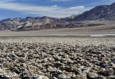 Leben im Death Valley - Devil's Golf Course_.JPG