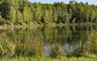 Rheinland-Pfalz, Eifel - Eifellandschaft 11.JPG