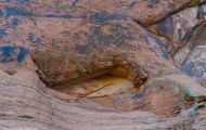 Utah, Dixie - Snow Canyon State Park 04.JPG