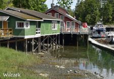 Vancouver Island - Telegraph Cove, Historische Gebäude am Boardwalk.JPG