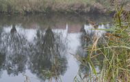Westflandern, Damme - Kanaal van Brugge 02.JPG