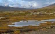 Yukon Territorries, Watson Lake - Along Haines Highway 05.JPG