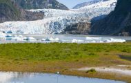 Alaska, Inside Passage - Juneau  Mendenhall Glacier 03.JPG