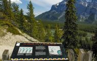Alberta, Canadian Rockies - Banff Area  Tunnel Mountain Road 01.JPG