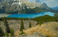 Alberta, Canadian Rockies - Icefields Parkway  Hwy 93, Peyto Lake 02.JPG