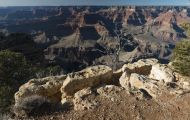 Arizona, Northcentral-Eastern - Grand Canyon National Park 11.JPG