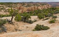Arizona, Northcentral-Eastern - Navajo National Monument 01.JPG