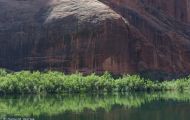 Arizona, Northcentral-Eastern - Page  Colorado River Discovery 06.JPG