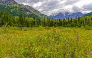 British Columbia, Northern B.C. - Yellowhead Highway  Highway 16, Along the way 16.JPG