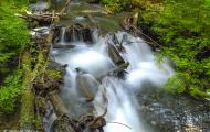 British Columbia, Vancouver Island - Campbell River  Strathcona Provicial Park 06.JPG