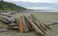 British Columbia, Vancouver Island - Pacific Rim National Park & Preserve  Long Beach 01.JPG
