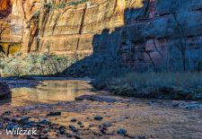 Impressionen vom Nationalpark Zion - Erste Sonnenstrahlen am Riverside Walk.JPG