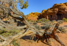 SEHNSUCHTSLANDSCHAFTEN im Amerikanischen Westen - Unterwegs im Arches