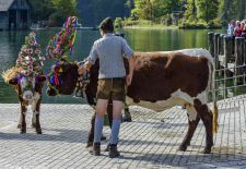 Unterwegs am Königssee - Ankunft des Almabtriebs an der Seelände.JPG