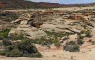 Utah, Canyon Country - Natural Bridges National Monument 06.JPG