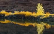 Utah, Canyon Country - Upper Colorado River Scenic Byway  Colorado Riverway 05.JPG