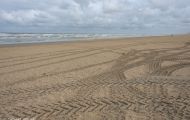 Westflandern, De Panne - Belgische Küste 02.JPG