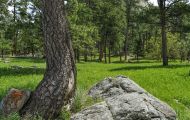 Wyoming, Northeast - Devils Tower National Monument 04.JPG