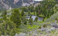 Wyoming, Northwest - Yellowstone National Park 05.JPG