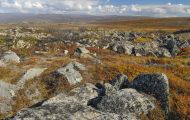 Alaska, Far North - Arctic Circle  Dalton Highway 05.JPG