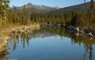 Alaska,Interior - Tok Cutoff Highway 01.JPG