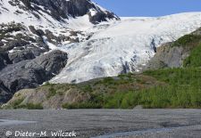 Alaskas Kenai Halbinsel - Exit Glacier nahe Seward.JPG