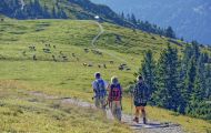 Bayern, Oberbayern - Garmisch-Partenkirchen  Wank 09.JPG
