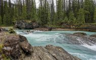 British Columbia, Kootenay Rockies - Yoho National Park  Natural Bridge 04.JPG