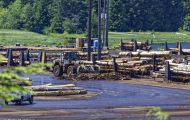 British Columbia, Vancouver Island - Telegraph Cove  Beaver Cove Log Sort 01.JPG