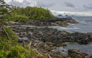 British Columbia, Vancouver Island - Ucluelet  Wild Pacific Trail 04.JPG