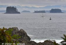 Faszination Vancouver Island - Ucluelet, Wild Pacific Trail.JPG