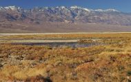 Kaliofornien, Desert - Death Valley National Park 12.JPG