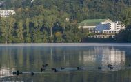 Rheinland-Pfalz, Eifel - Biersdorf am See  Stausee Bitburg 04.JPG