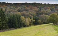 Rheinland-Pfalz, Eifel - Eifellandschaft 04.JPG