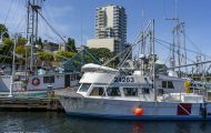 Städte, Kanada - British Columbia  Nanaimo - Fishermens Wharf 10.JPG