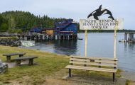 Städte, Kanada - British Columbia  Tofino - Waterfront 05.JPG