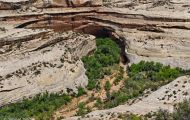 Utah, Canyon Country - Natural Bridges National Monument 09.JPG