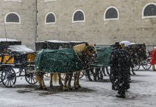 Salzburg Stadt - Fiaker am Residenzplatz