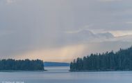 Alaska, Inside Passage - Auke Bay 02.JPG