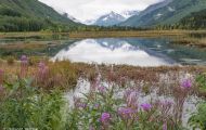 Alaska, Southcentral - Sterling Highway 01.JPG