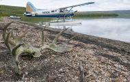 Alaska, Southwest - Katmai National Park & Preserve 06.JPG